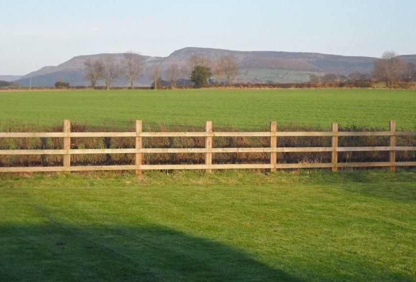 Swan House Bed and Breakfast Northallerton Exterior foto